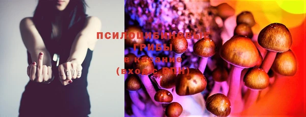 круглые Богородицк
