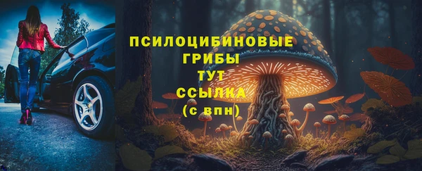 jwh Белокуриха