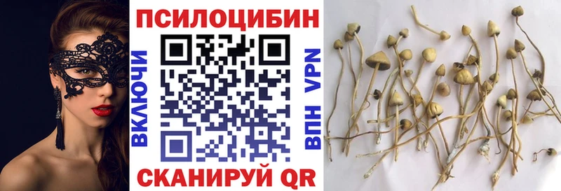 закладка  mega   Галлюциногенные грибы Psilocybine cubensis  Уфа 